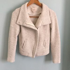 Gorgeous Loft Knit Moto Sweater Jacket